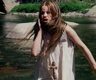 La petite maison dans la prairie