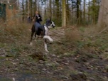Profilage - S8 E3 - Les héritiers (1/2)